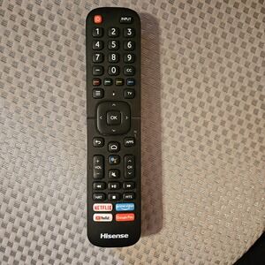 Hisense ERF2G60H Voice Remote Control for Smart TV Black Netflix Google Play